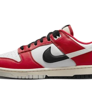 Nike Dunk Low Chicago Split